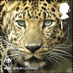 World Wildlife Fund 1st Stamp (2011) Amur Leopard
