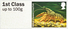 Post & Go: River Life - Freshwater Life 3 1st Stamp (2013) White-clawed Crayfish