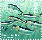 Sustainable Fish 1st Stamp (2014) Cornish Sardine