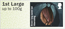 Post & Go : Hibernating Animals 1st Stamp (2016) Brown Long-eared Bat