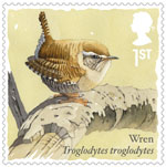 1st, Wren from Songbirds (2017)