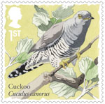 1st, Cuckoo from Songbirds (2017)