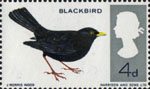 British Birds 4d Stamp (1966) Blackbird