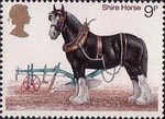Horses 1978