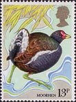 British Birds 13p Stamp (1980) Moorhen