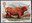 16p, Highland Cow from Cattle (1984)
