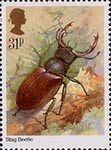 Insects 1985
