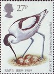 Birds 27p Stamp (1989) Avocet
