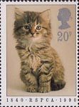 RSPCA 20p Stamp (1990) Kitten