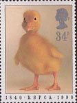 RSPCA 34p Stamp (1990) Duckling