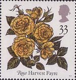 Roses 33p Stamp (1991) 'Harvest Fayre'
