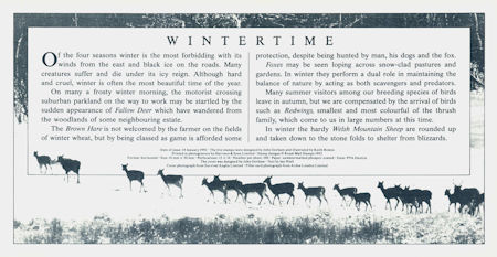 The Four Seasons. Wintertime (1992)