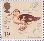 The Wildfowl and Wetlands Trust 19p Stamp (1996) Muscovy Duck