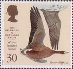 The Wildfowl and Wetlands Trust 1996