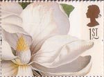 Greetings - Flowers 1st Stamp (1997) Magnolia grandiflora (Ehret)