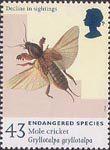 Endangered Species 43p Stamp (1998) Mole Cricket