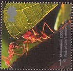 Millennium Projects (4th Series). 'Life and Earth' 1st Stamp (2000) South-American Leaf-cutter Ants (Web of Life Exhibition, London Zoo)