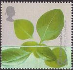 Millennium Projects (4th Series). 'Life and Earth' 64p Stamp (2000) Hydroponic Leaves (Project SUZY, Teeside)