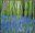 65p, Bluebell Wood (Groundwork's 'Changing Places' Project) from Millennium Projects (7th Series). 'Stone and Soil' (2000)