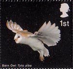 Birds of Prey 1st Stamp (2003) Barn Owl with extended Wings and Legs down