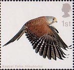 Birds of Prey 1st Stamp (2003) Kestrel with Wings fully extended downwards