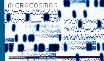 Microcosmos (2003)