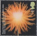 The Royal Horticultural Society (1st) 1st Stamp (2004) Dahlia 'Garden Princess'