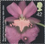 The Royal Horticultural Society (1st) 42p Stamp (2004) Miltonia 'French Lake'