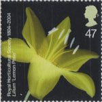The Royal Horticultural Society (1st) 47p Stamp (2004) Lilium 'Lemon Pixie'