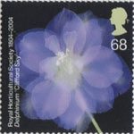 The Royal Horticultural Society (1st) 68p Stamp (2004) Delphinium 'Clifford Sky'