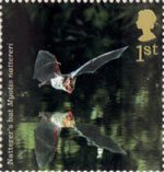 Woodland Animals 1st Stamp (2004) Natterer's Bat