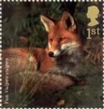 1st, Fox from Woodland Animals (2004)