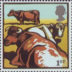 1st, Dairy Shorthorn Cattle from Farm Animals (2005)