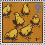 1st, Light Sussex Chicks from Farm Animals (2005)