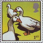 1st, Embden Geese from Farm Animals (2005)