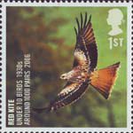 Birds 1st Stamp (2007) Red Kite