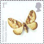Insects 1st Stamp (2008) Barberry Carpet Moth