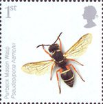 Insects 1st Stamp (2008) Purbeck Mason Wasp