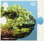 Charles Darwin 48p Stamp (2009) Zoology
