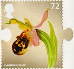 Charles Darwin 72p Stamp (2009) Botany