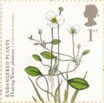 Plants 1st Stamp (2009) Floating Water-Plantain