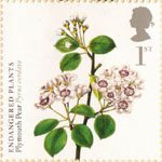 Plants 1st Stamp (2009) Plymouth Pear