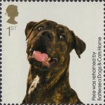 Battersea Dogs and Cats Home 1st Stamp (2010) Pixie