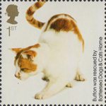 Battersea Dogs and Cats Home 1st Stamp (2010) Button