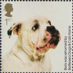 Battersea Dogs and Cats Home 1st Stamp (2010) Boris