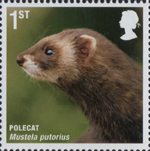 Mammals 1st Stamp (2010) Polecat