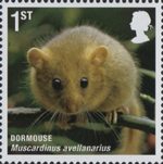 Mammals 1st Stamp (2010) Dormouse
