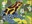 88p, Poison Dart Frog from World Wildlife Fund (2011)