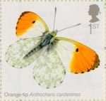 Butterflies 1st Stamp (2013) Orange Tip