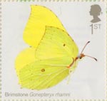 Butterflies 1st Stamp (2013) Brimstone
